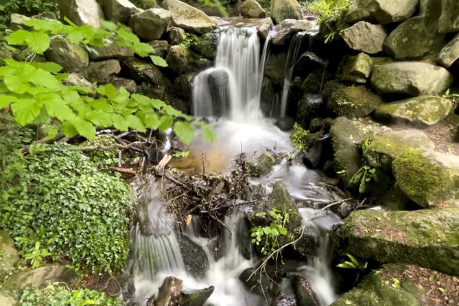 Private Garden of Ireland Wicklow Tour from Dublin - Quick reasons to consider this Wicklow day trip