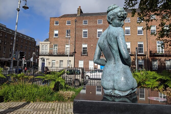 Private Guided Tour of Dublin in French - Merrion Square and the Georgian city