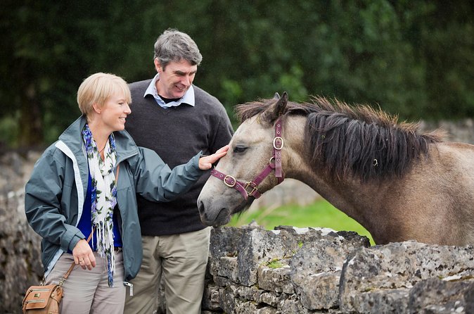 Private Half Day Tour To Connemara - The return through South Connemara