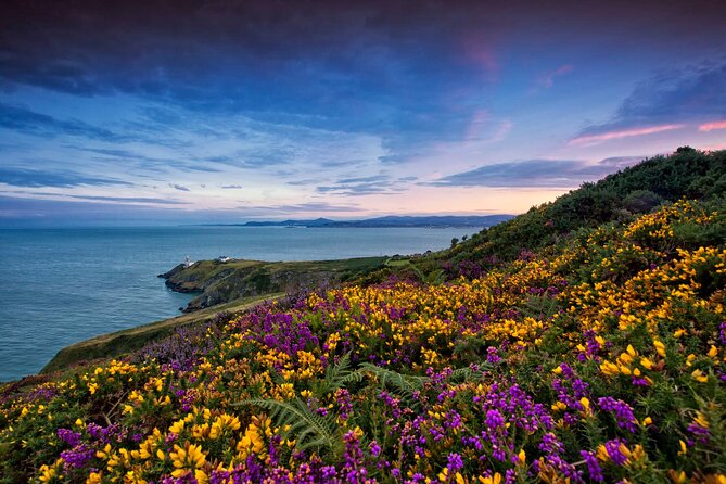 Private Howth Coastal Walk - Lunch and a Pint at The Abbey Tavern