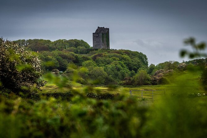 Private Limousine hire Cliffs of Moher Day Tour - Why the private format changes the day