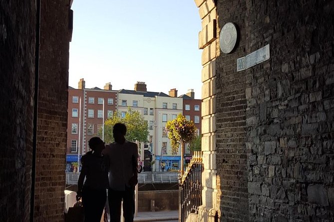 Private (Nearly!) All of Dublin in 5 hours (Walking Tour) - Leinster House and the old Parliament