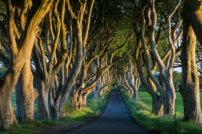 Private Northern Ireland Day Tour from Dublin - Dunluce Castle: a powerful first stop