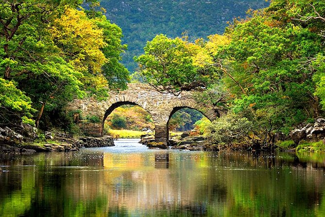 Private Ring of Kerry Tour in Ireland - The local guide is a major part of the experience
