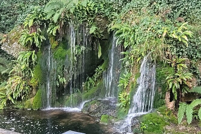 Private Tour Blarney Kinsale & Cobh Awarded Badge of Excellence - Blarney Castle and its 50 acres of gardens