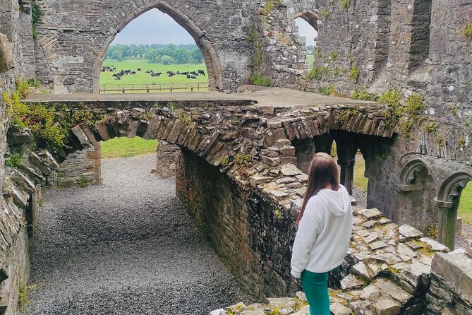 Private Tour from Dublin: Hill of Tara Trim Castle, Celtic sites - Why this private Dublin day trip works