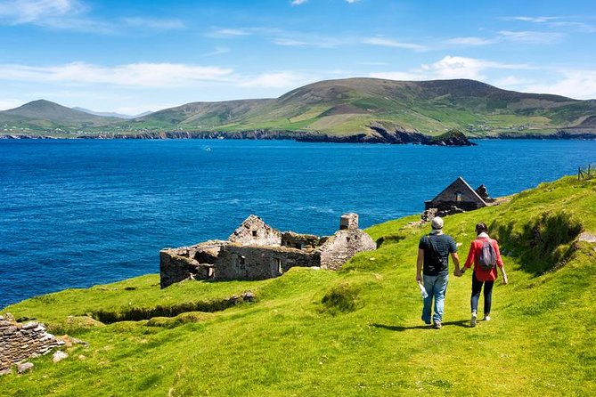Private tour of Dingle and Slea Head with accredited guide - Why Dingle deserves a full day from Killarney