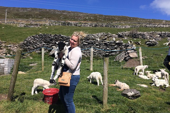Private tour of Dingle and Slea Head with accredited guide - Slea Head Drive delivers the classic Kerry views