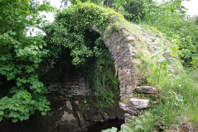 Private Tour:Ring of Kerry,Kerry Cliffs from Kenmare, Sneem etc. - Torc Waterfall and Ladies’ View begin the morning