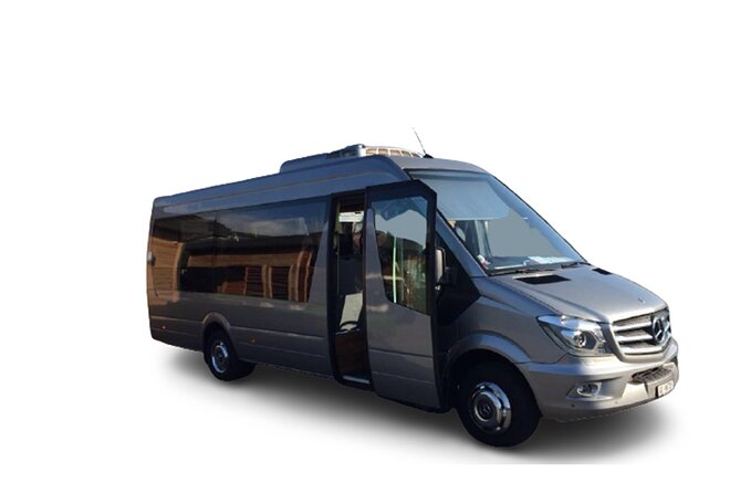 Private Transfer Coach (15 Seats) from Dublin airport to Dublin city center - What the Dublin Airport arrival is like