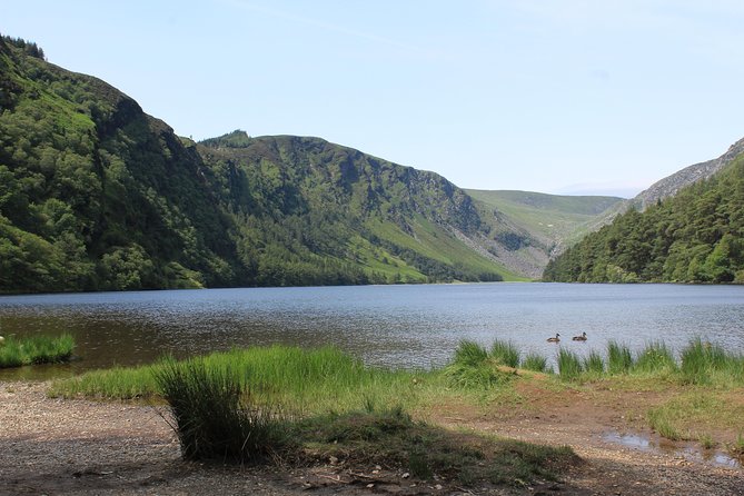 Private Wicklow Mountains Day Tour - Sally Gap and the open Wicklow mountains