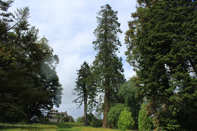 Private Wicklow Mountains Day Tour - Is $708.94 good value for your group?