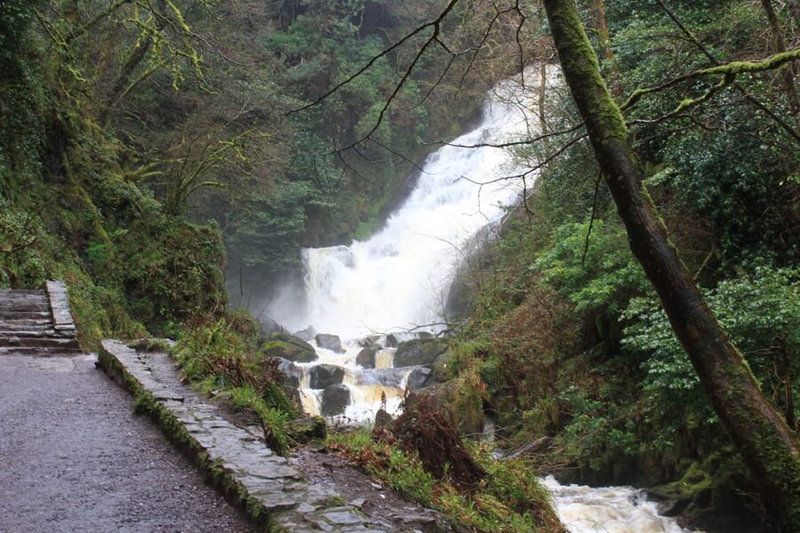 Private Wild Atlantic Day Tour from Cork - Killarney National Park and a longer reach into Kerry