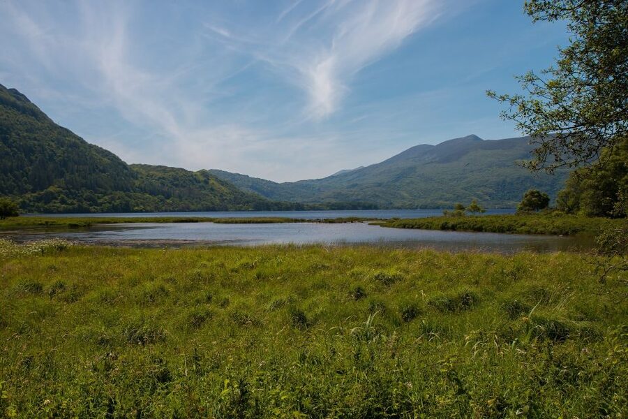 Rail Tour from Dublin: The Ring of Kerry - The guides make the long day easier