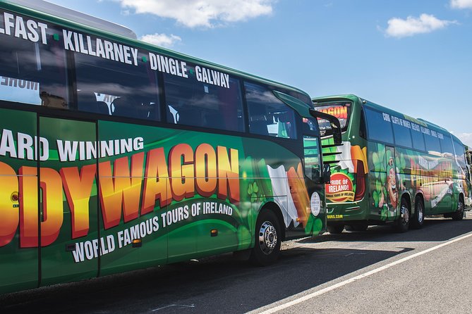 Ring of Kerry Day Tour from Cork: Including Killarney National Park - Killarney town gives you one quick hour
