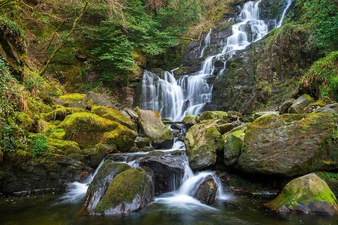 Ring of Kerry Day Tour from Killarney: Including Killarney National Park - Killorglin and the goat crowned king
