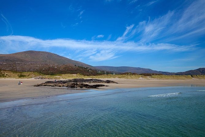Ring of Kerry Day Tour from Limerick: Including Killarney National Park - Killorglin and the story of Puck Fair