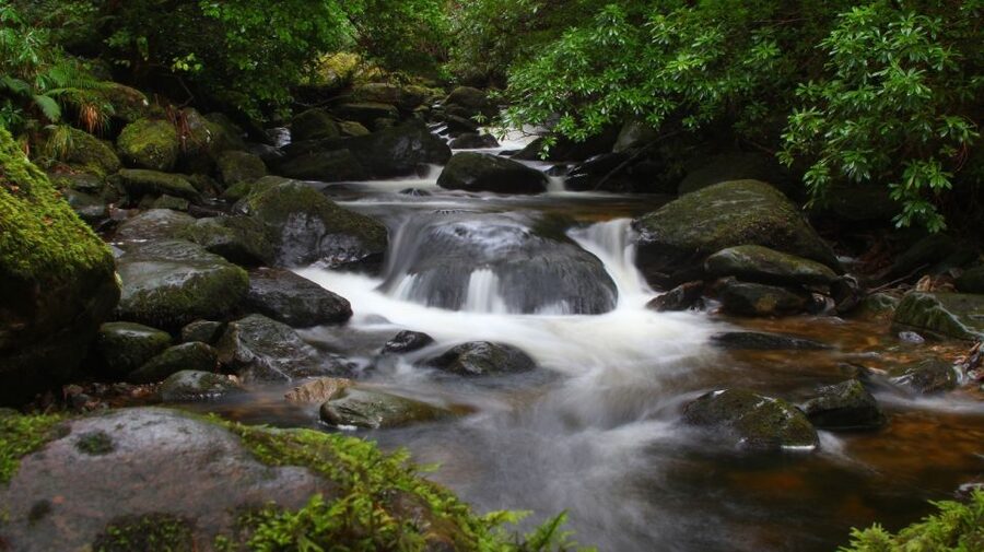 Ring of Kerry Full-Day Tour from Limerick - Scenic viewpoints on the way to Sneem