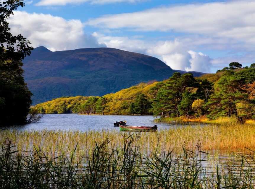 Ring of Kerry Full-Day Tour from Limerick - Time in Killarney before the return journey
