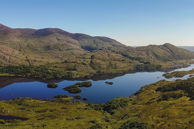 Ring of Kerry Private Day Tour from Killarney - The van, guide, and pace