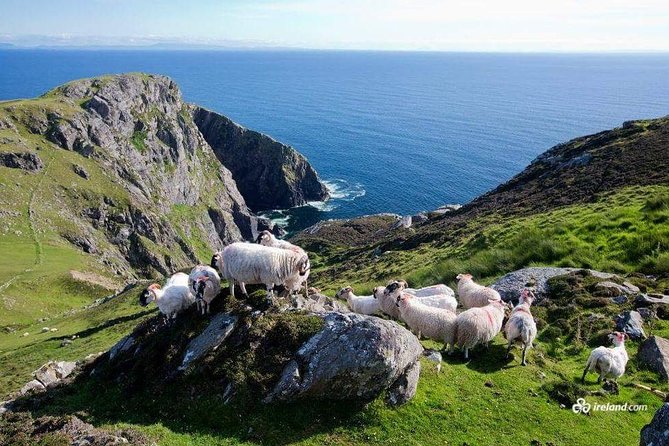 Ring of Kerry & Skellig Ring Private Day Tour - Key points at a glance