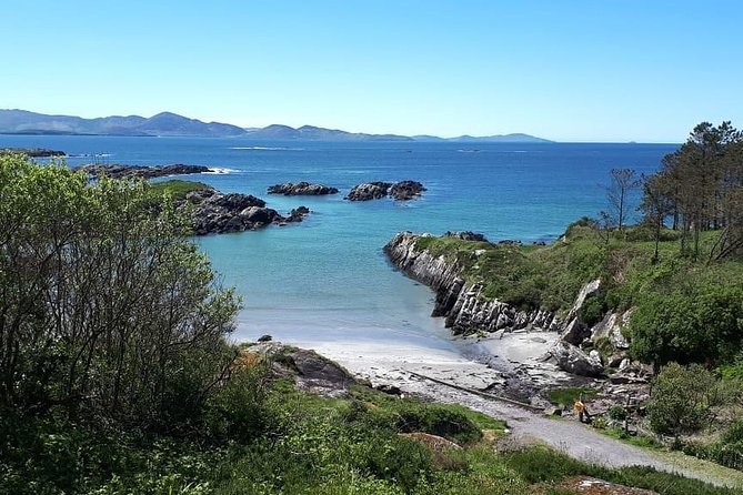 Ring of Kerry & Skellig Ring - Private Tour - Ladies’ View and the return toward Killarney