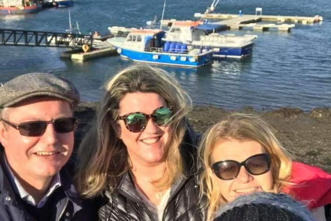 Ring of Kerry Tour Private Chauffeur Driven From Killarney - Kerry Cliffs and the Skellig Islands