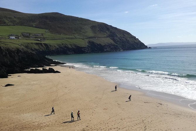 Ring of Kerry Tour Private Chauffeur Driven From Killarney - Leaving Killarney at 9:30 in the morning