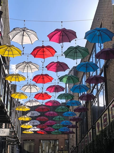 Secret and unusual Dublin: guided walking tour - Key points to know before you book