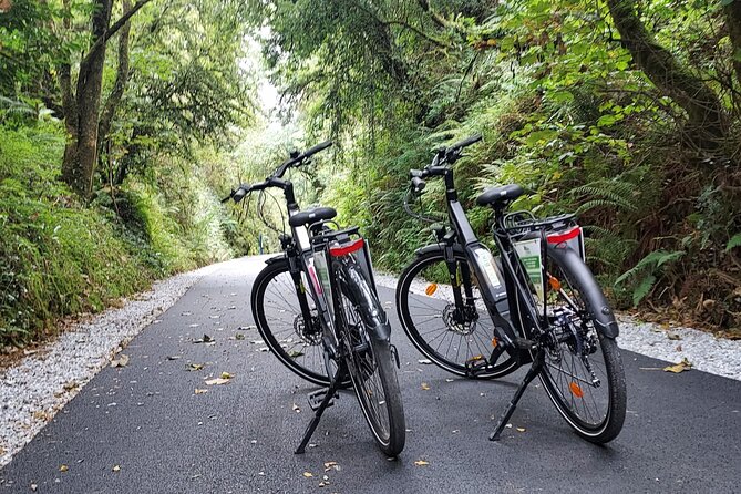 Self Guided Bike Tour on the Limerick Greenway - Is $18.02 good value for a full day?