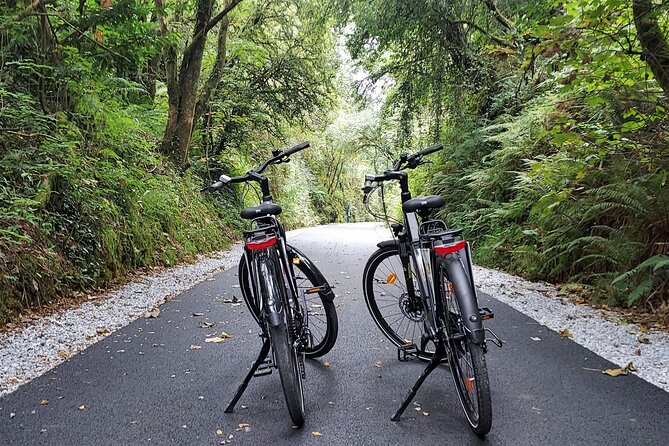 Self Guided Bike Tour on the Tralee to Fenit Greenway - Starting at Mounthawk in Tralee