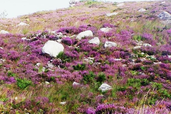 Self Guided Electric Bike Tour of Historical Sites in the Burren Co Clare - What the electric assistance changes