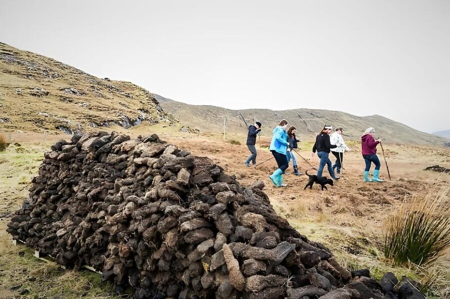 Sheepdog herding demo on working sheep farm. Galway. Guided. - Watching a sheepdog earn its keep