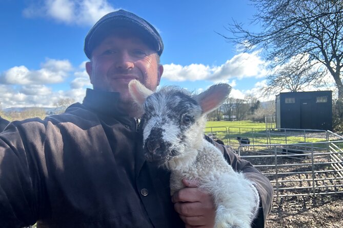 Sheepdogs in the countryside, authentic Dubliners city tour combo - Returning to Dublin along the River Liffey