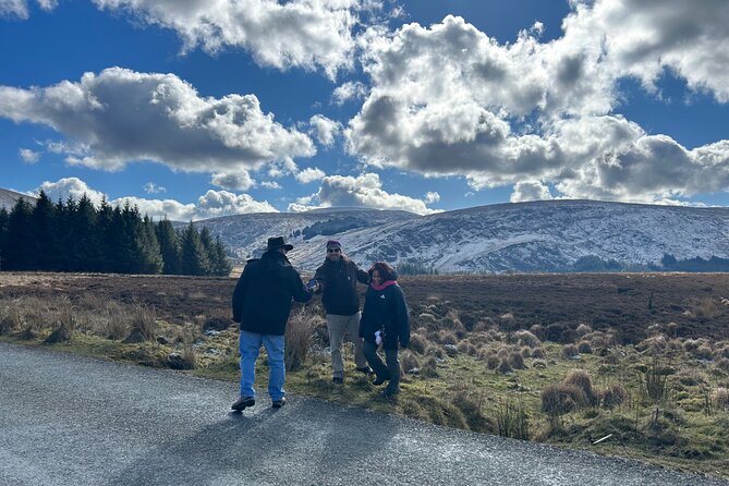 Sheepdogs in the countryside, authentic Dubliners city tour combo - West Wicklow and the working sheepdogs