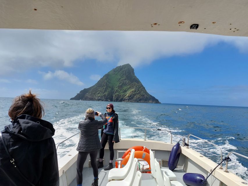 Skellig Michael: Skellig Sightseeing Cruise with AquaTerra - Wildlife watching depends on the day