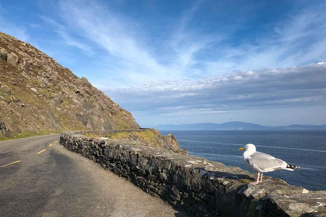 Slea Head Photo & Sightseeing Tour - Slea Head Cross and the first ocean views