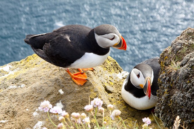Small Group - Cliffs Cruise, Aran Islands AND Connemara in One Day from Galway - Why this Galway day trip covers so much