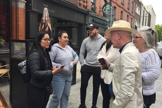 Small Group-Dublin Walking Tours - Leinster House and the National Museum