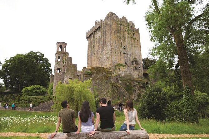(Small Group) Shore Tour from Cork: Blarney Castle & Jameson Distillery - Cork City from the minivan