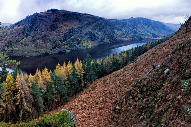 (Small Group) Shore Tour from Dublin:Dublin Highlights and Glendalough Day Trip - How the $130.97 price earns its keep