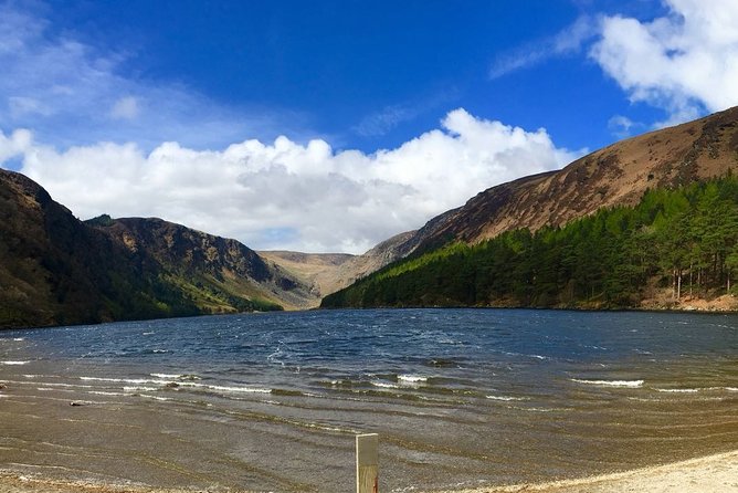 Spanish Glendalough And Powerscourt Tour - Irish stew at Johnnie Fox’s
