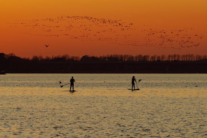 Sunset SUP experience in Malahide, Dublin - Key things to know before you book