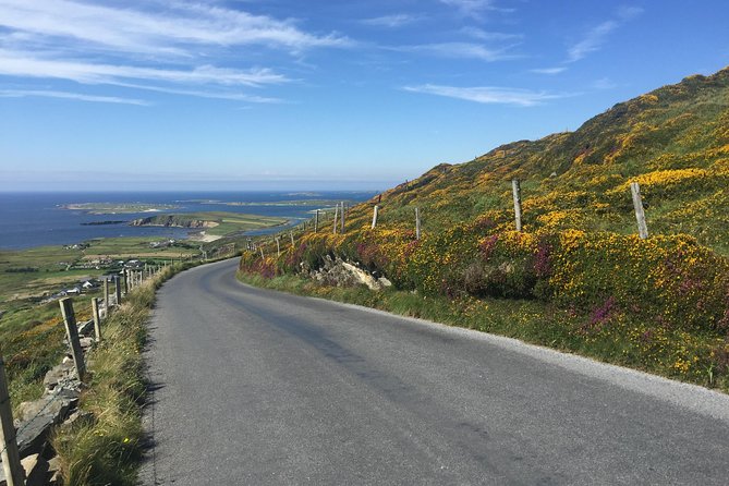 Sustainable Connemara and Galway Bay Rail Tour from Dublin - Who should book this Connemara day trip?