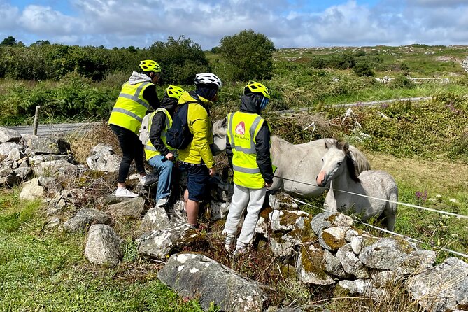 Taste of Connemara Tour by Electric Fat Tyre Bike - Getting comfortable on the RadRhino electric bike