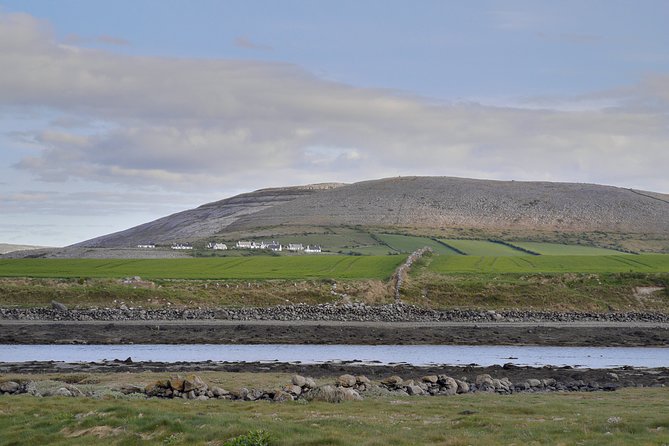 The Burren and Cliffs of Moher Private Tour from Galway - Caherconnell Fort and Mountain Haven Cafe