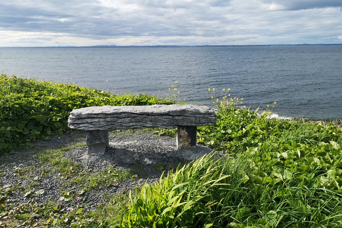 The Burren and Cliffs of Moher Private Tour from Galway - The Cliffs of Moher: Time to Walk, Not Just Snap