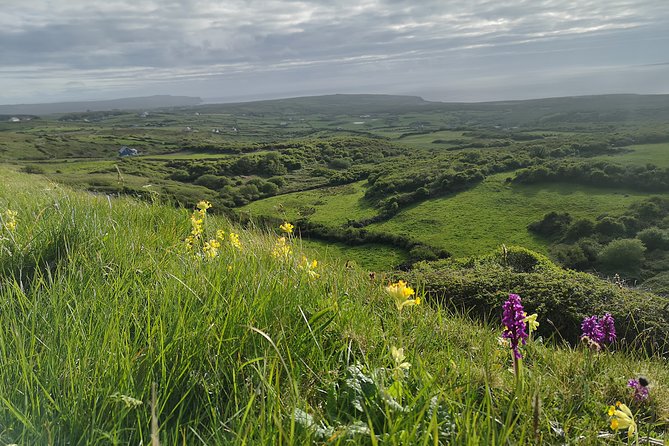 The Burren and Cliffs of Moher Private Tour from Galway - Lunch Choices and the Ride Back to Galway
