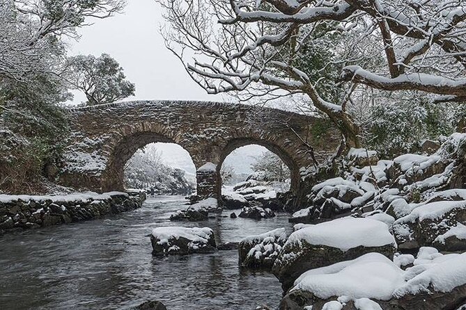 The Gap of Dunloe - Day Trip (One Way Only) - Passing beneath the Old Weir Bridge