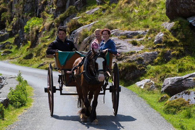 The Gap of Dunloe Full-Day Tour from Killarney - Lord Brandon’s Cottage and the break before the boat